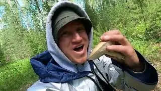 WENT INTO THE FOREST TO PICK MUSHROOMS