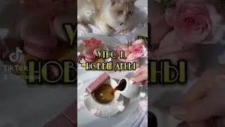 С добрым утром ❤️ с новым днём ❤️