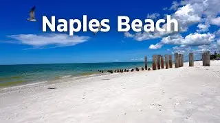 Naples Beach Today (8/25/24)