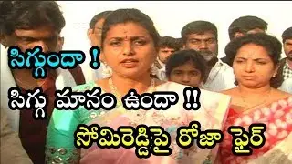 YSRCP MLA Roja Selvamani Fires on Somireddy Chandramohan Reddy  II C9wonders