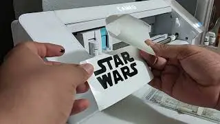 stickers de vinil en Cameo 4