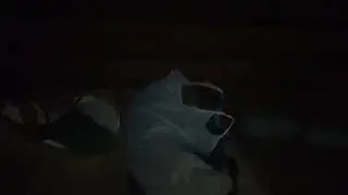bolang siang | wik² nya anak rantau, pas hujan 69 di gubuk derita 😭‼️