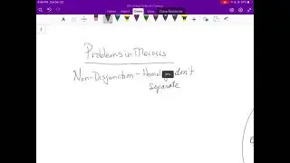 Nondisjunction and Down’s Syndrome