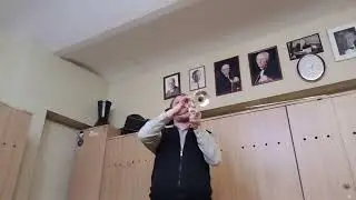 13 грудня 2024 р.