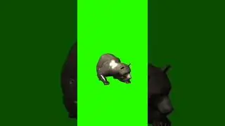 balo+hhh#greenscreen #shorts #green #subscribe #greenofficial