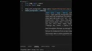 How to remove background from image in Python in 5 line of code 