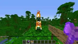 Does Fire Aspect Work On Java Edition Axes? (Minecraft)