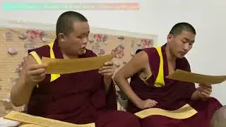 🇲🇳Mongolian students 🇲🇳in Gyudmed monastery 🙏🏼