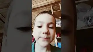 Коты не хотят в город