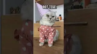 Днюшка Тик ток приколы