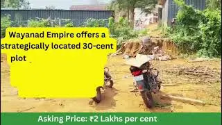 Prime Land for Sale in Kalpetta – Ideal for Homestays & Resorts