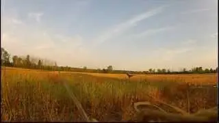 Hunting Michigan 9.1.2012 Goose hunting opener