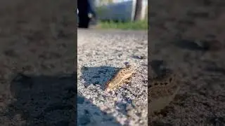ползу на работу😂