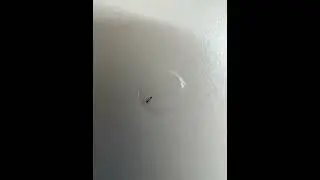 ”The Ant” shot on iPhone 13 Pro #Alcohol #Medical