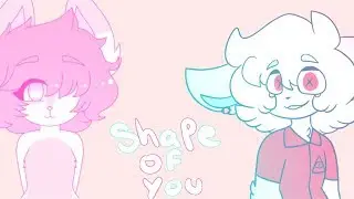 Shape Of You | Meme Collab
