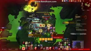 feral 7.2 challenge 36 traits failed