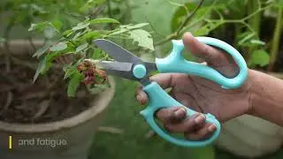 Must Have Garden Scissors for Plant Parents  | IFFCO Urban Gardens