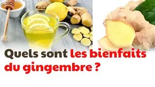 Quels sont les bienfaits du gingembre ? | CDT NEWS