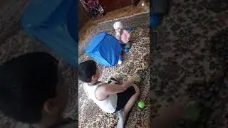 Веселее на карантине
