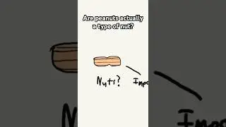 Are Peanuts Actually Nuts? #shorts #animation