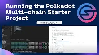 Running the Polkadot Multi chain Starter Project