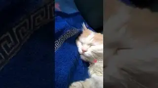 Перезалив из лайка