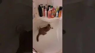 #тыгыдым
