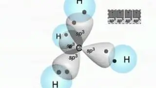 Molecular Shape and Orbital Hybridization