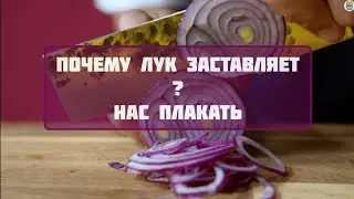 Почему лук заставляет нас плакать?