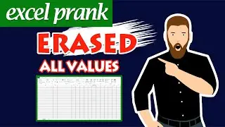 EXCEL PRANK | Erased All Values