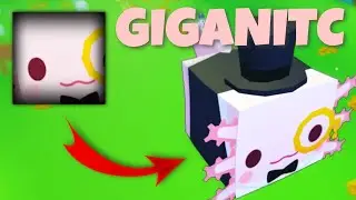 GIGANITC FANCY  AXALOTLE  IN PET SIMULATOR Z