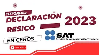 Declaración En Ceros 