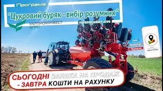 Сівозміна в умовах воєнного стану. Цукровий буряк - вибір розумних