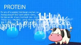 Degradasi Protein Pakan