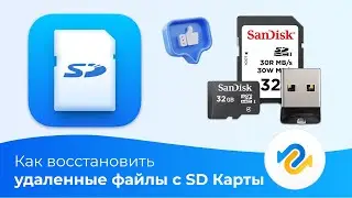 Как восстановить удаленные файлы с SD Карты 2024? Не пропустите!