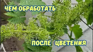 Обработка по ягоде и по завязи.
