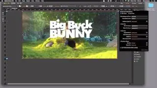Adobe Muse background Video