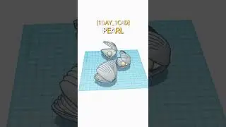 [1DAY_1CAD] PEARL 