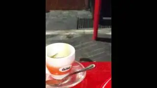 Il topo da compagnia