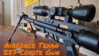 Greatest Airgun for Coyote Hunting in the World - Airforce Texan. 257