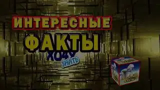 40 шикарных фото, сделанных в самый нужный момент