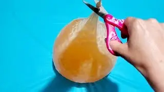 ORBEEZ BALLOON WITH OCTOPUS INSIDE POPS!!