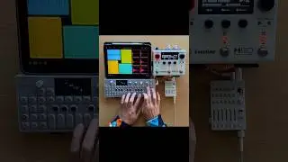 Live looping w/ @msxiisound sound pack, Loopy Pro, H90, OP-1, and TX-6 #shorts