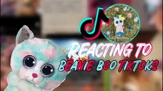Reacting to beanie boo TikTok’s