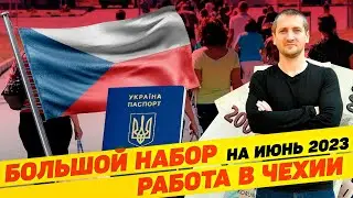 РАБОТА В ЧЕХИИ 🇨🇿  / 🇺🇦 БОЛЬШОЙ НАБОР   