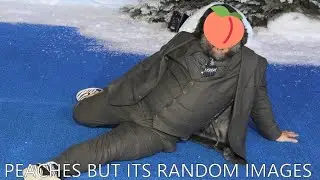 Peaches but its random images