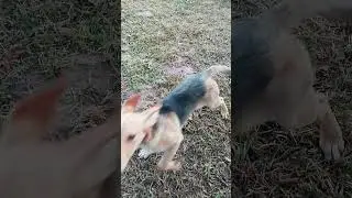 И снова Мы! (Вьюга)