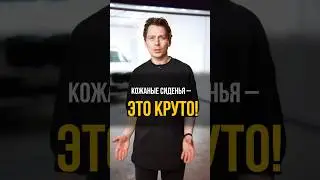 ПЛЮСЫ и МИНУСЫ кожаного салона! 