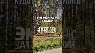 📍Подписывайся, если хочешь переехать в Тюмень! #тюмень #янао #ямал #север #shortvideo #рекомендации
