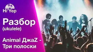 Animal ДжаZ - Три полоски | Разбор на укулеле